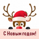 Подарок #4650