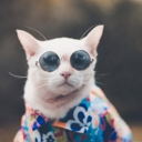 Подарок #4797