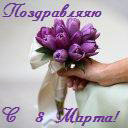 Подарок #491