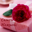 Подарок #495