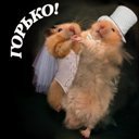 Подарок #515