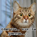 Подарок #529
