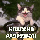Подарок #531