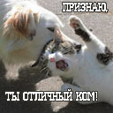 Подарок #535