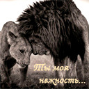 Подарок #550