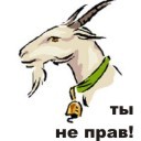 Подарок #551