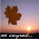Подарок #554