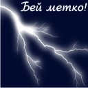 Подарок #559