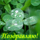 Подарок #57