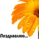 Подарок #580