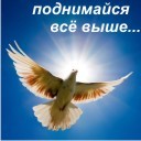 Подарок #581