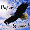 Подарок #714