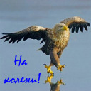 Подарок #715