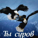 Подарок #716