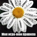 Подарок #817