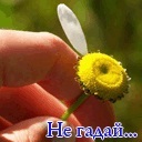 Подарок #818