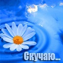 Подарок #820