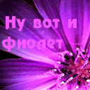 Подарок #842