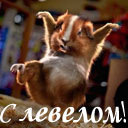 Подарок #85