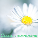 Подарок #904