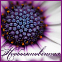 Подарок #933