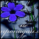 Подарок #934