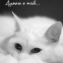 Подарок #994
