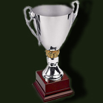 Серебряный призёр II Турнира Хайлевелов